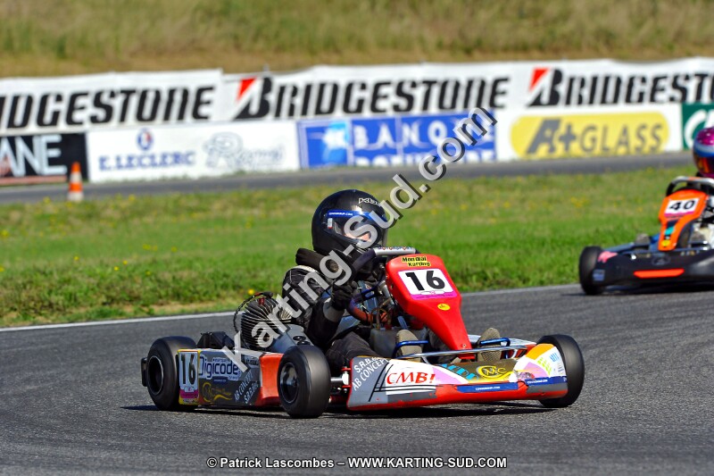 DSC_ (1186).jpg